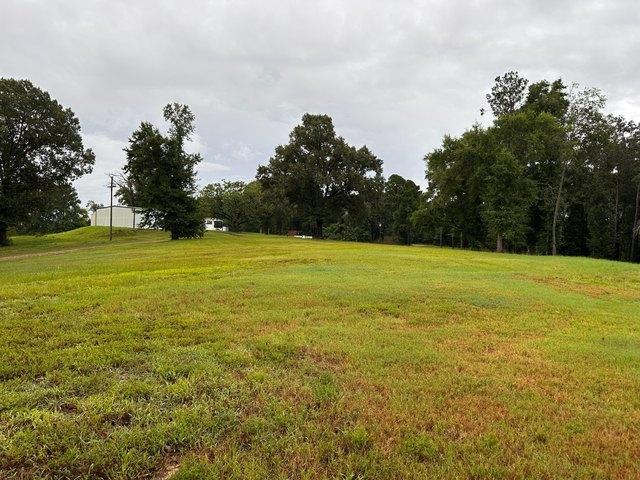 Land for sale in Many, Louisiana