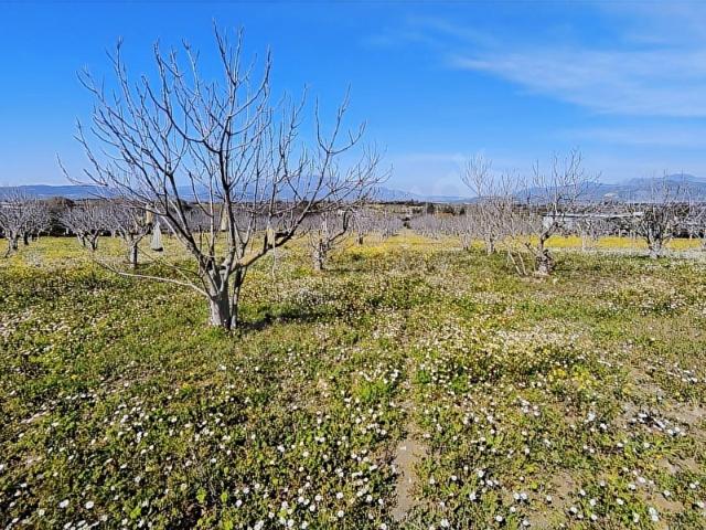 Torbali, İzmir içerisinde satılık Arsa