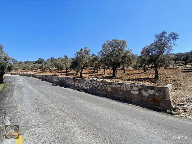 Didim, Aydin içerisinde satılık mülk