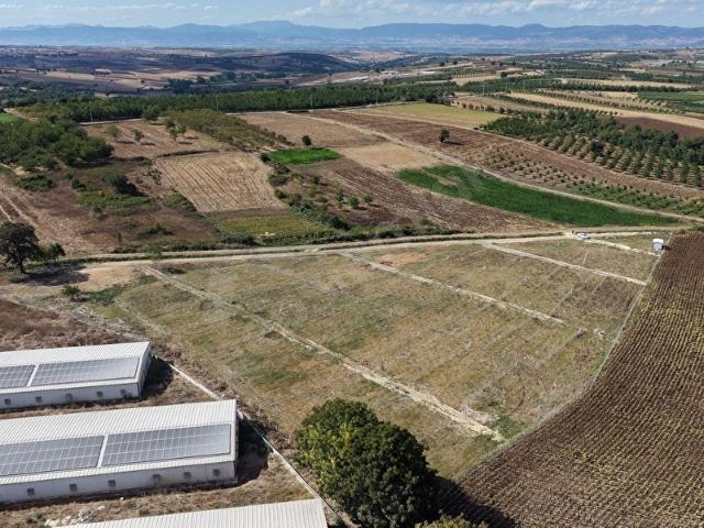 Yenişehir, Bursa içerisinde satılık Arsa