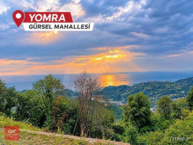 Gürsel, Yomra içerisinde satılık mülk