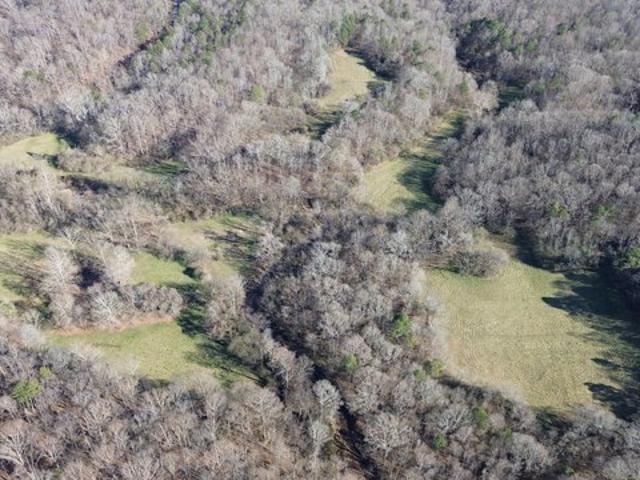 Land for sale in Banks, Georgia