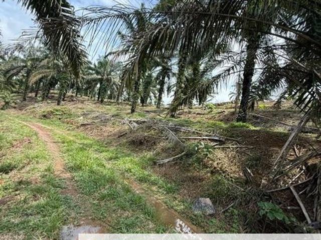Shop for sale in Batu Pahat, Johor