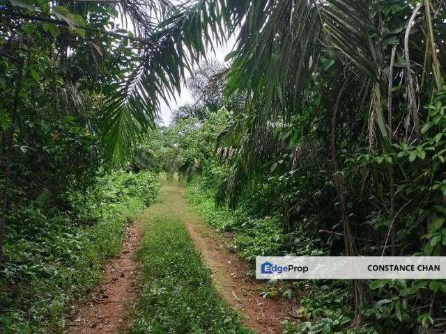 Shop for sale in Batu Pahat, Johor