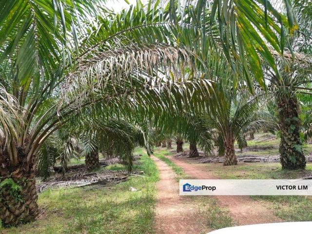 Shop for sale in Batu Pahat, Johor