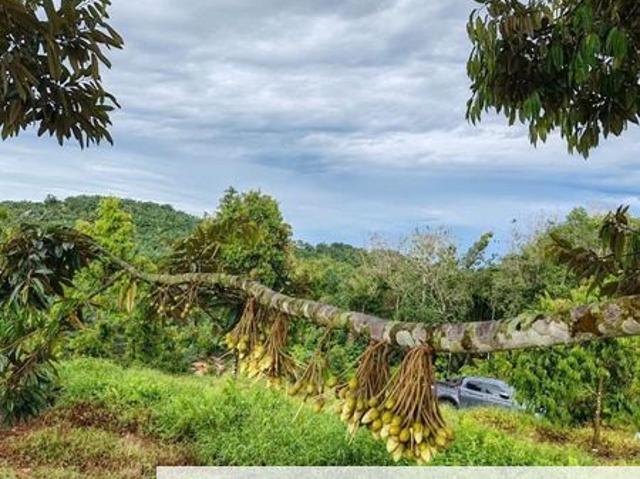 Shop for sale in Batu Pahat, Johor