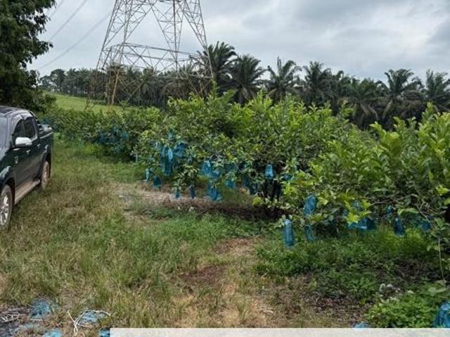 Shop for sale in Batu Pahat, Johor
