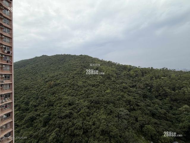 提供 出售 的物件。