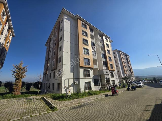 Toki Mahallesi, Tire içerisinde kiralık mülk