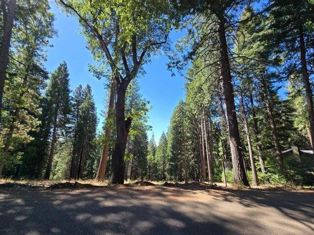 Land for sale in Pollock Pines, California