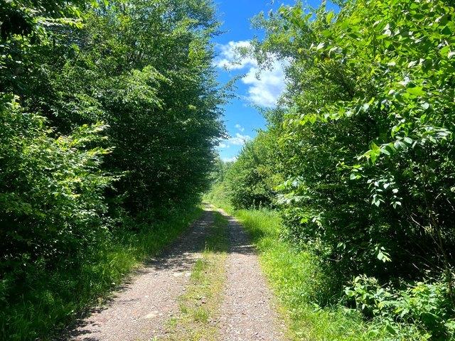 Land for sale in Oneida, New York