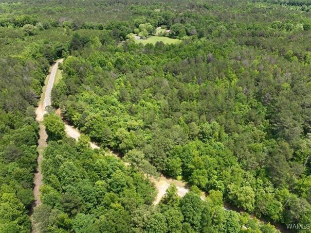 Land for sale in Ethelsville Land for sale in Ethelsville