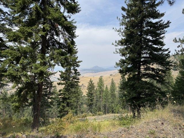Land for sale in Sanders, Montana