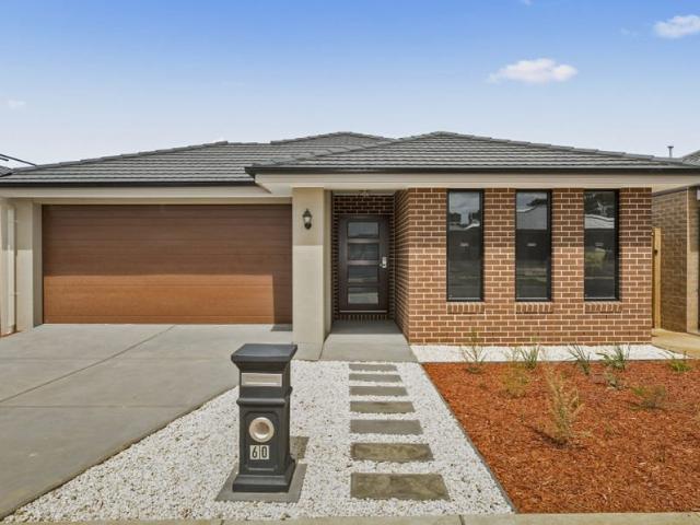House for rent in Ashbury, Geelong