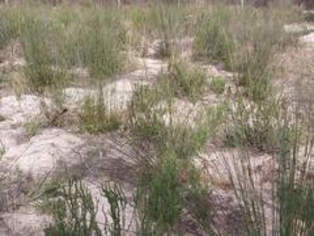 Land for sale in Groot Brak Rivier, Western Cape