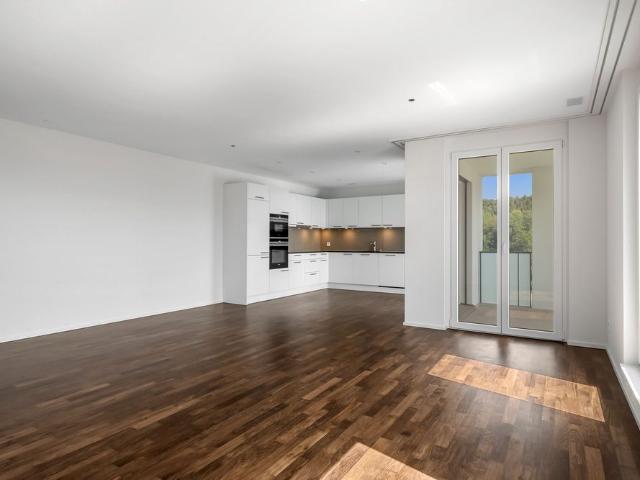 Apartment mieten in Schaffhausen