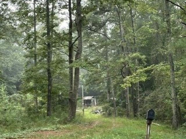 Land for sale in Franklin, Heard County
