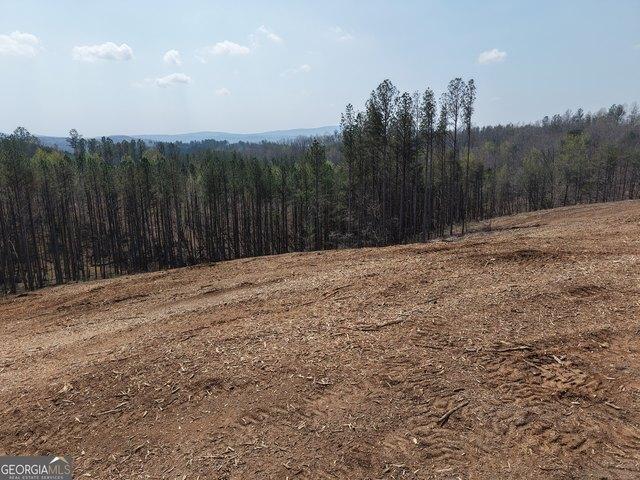 Land for sale in Gordon, Georgia