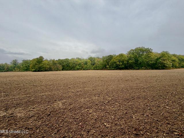 Land for sale in Mississippi