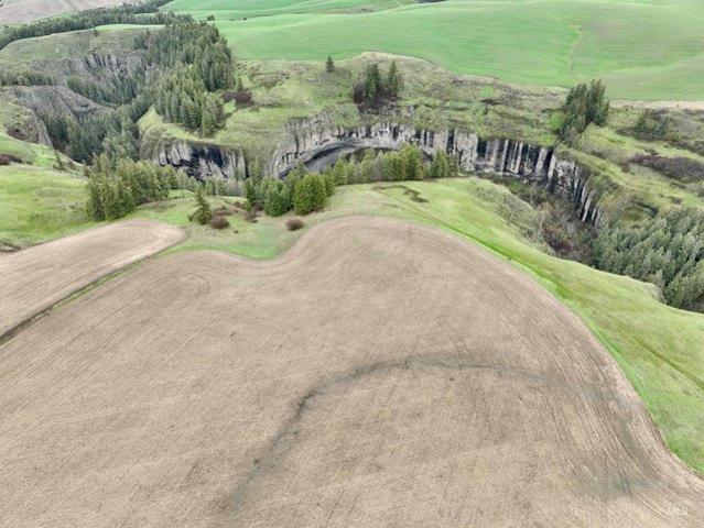 Farm for sale in Craigmont, Idaho