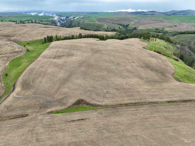 Land for sale in Craigmont, Idaho