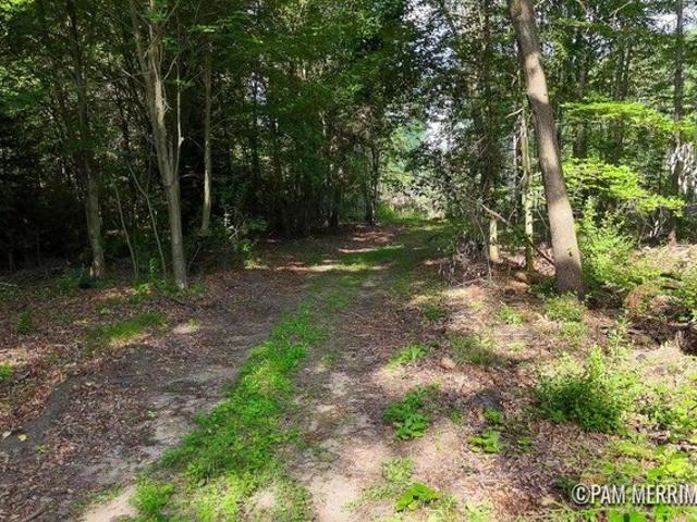 Land for sale in Trufant, Michigan