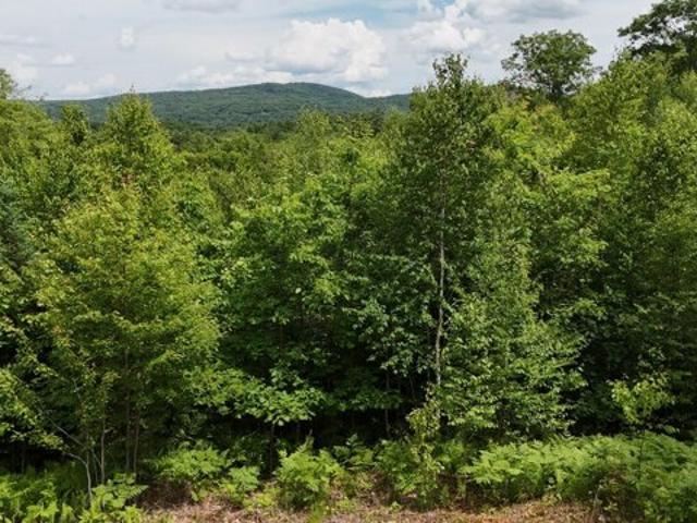 Land for sale in Canton, Maine