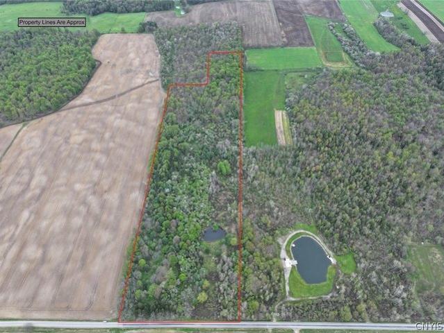 Land for sale in Cherry Creek, New York