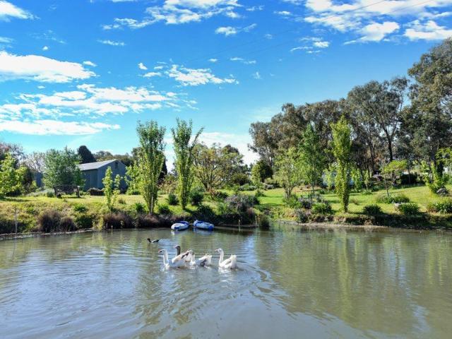 Land for sale in Burrangong, Young