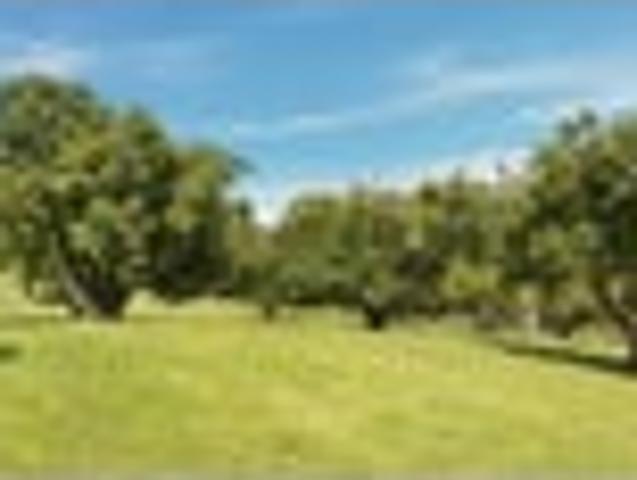 Land for sale in Bay Of Plenty