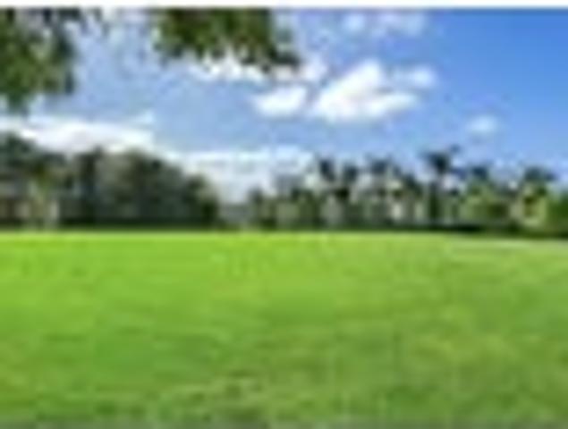 Land for sale in Whangarei, Northland