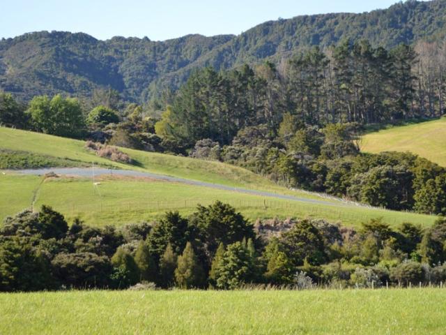 Land for sale in Northland
