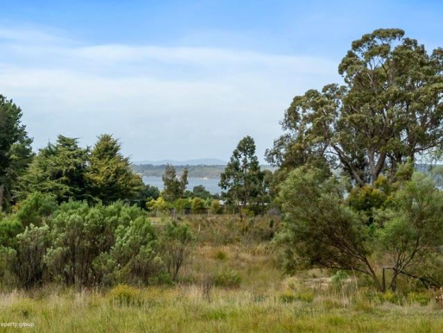 Land for sale in Dover, Huon Valley