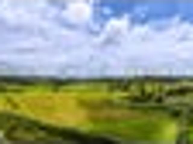 Land for sale in Kawau Island, Oroua County