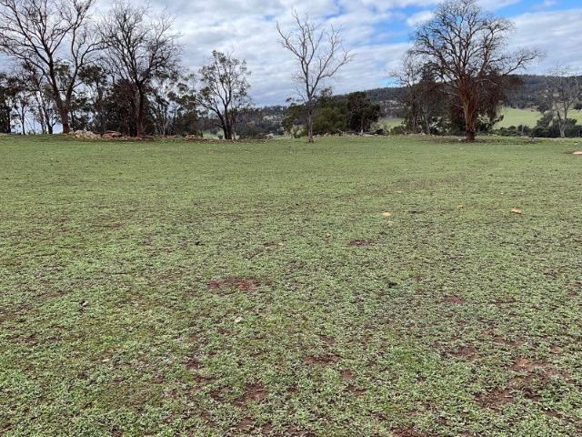 Land for sale in Boddington, Western Australia