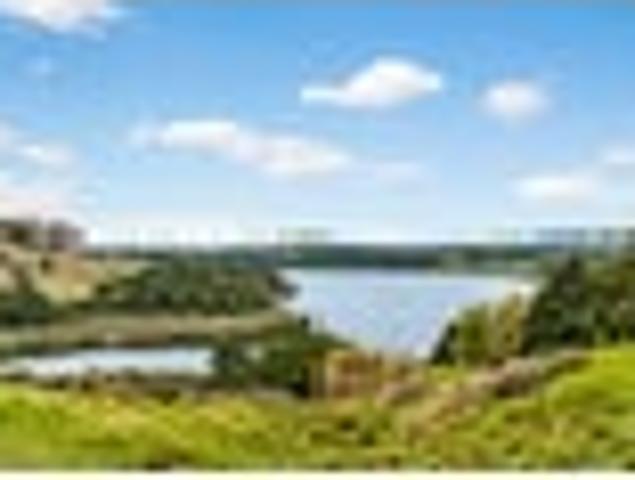 Land for sale in Northland