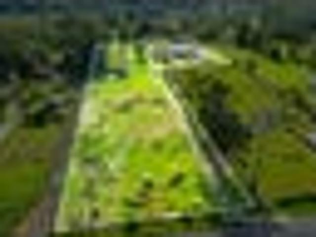 Land for sale in Paremoremo