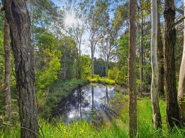 Land for sale in Kings Creek, Queensland