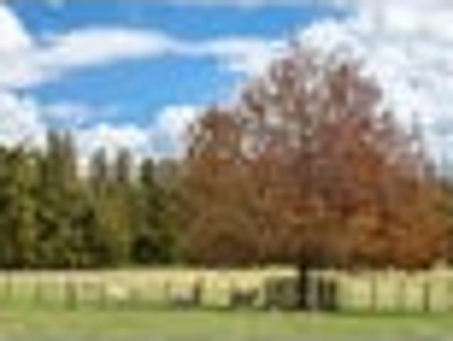 Land for sale in Bombay, Auckland