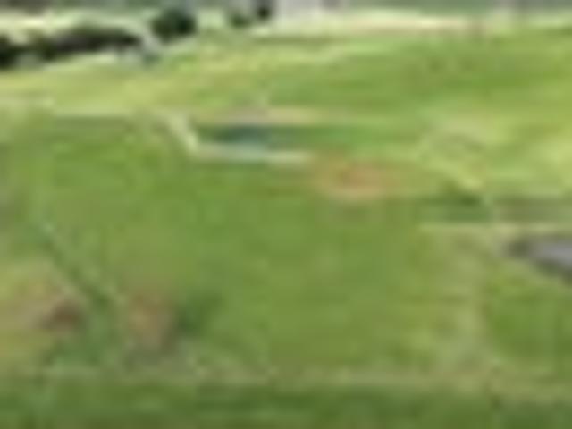 Land for sale in Woodville, Tararua District