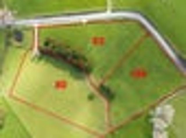 Land for sale in Kawau Island