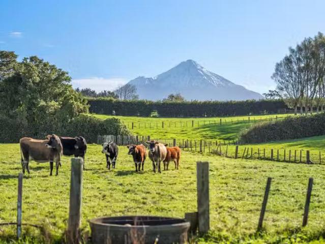 House for rent in Pembroke, Taranaki