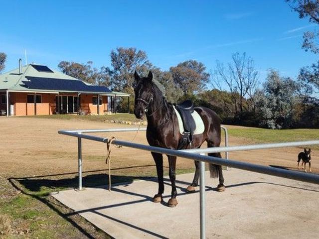 Cottage for sale in Talmalmo, New South Wales