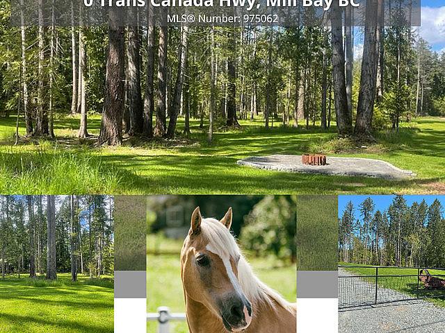 Land for sale in British Columbia