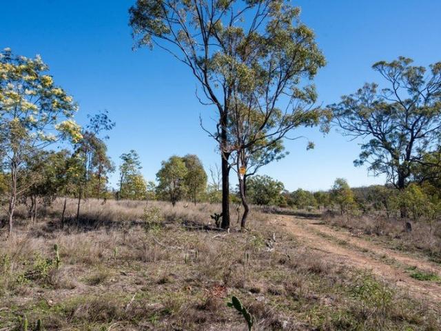 Land for sale in Thanes Creek, Queensland