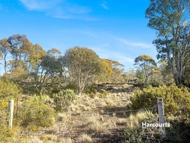 Land for sale in Miena, Tasmania
