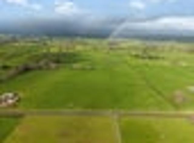 Land for sale in Waikato