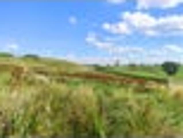 Land for sale in Waikato