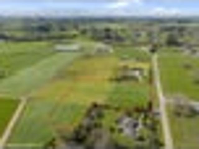 Land for sale in Waikato