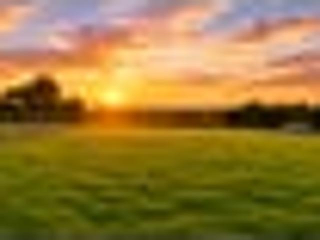 Land for sale in Onewhero, Waikato